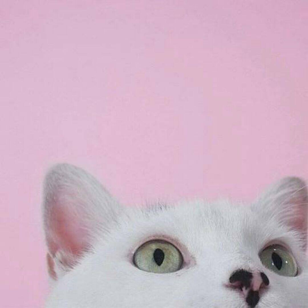 好奇小姐生活馆