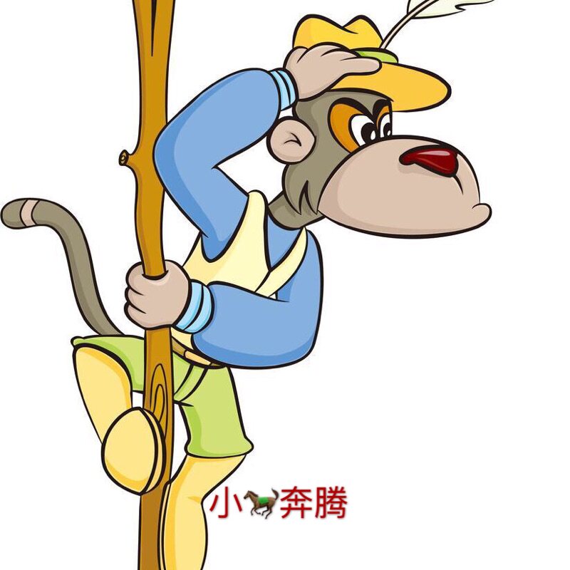 小马奔腾外贸店