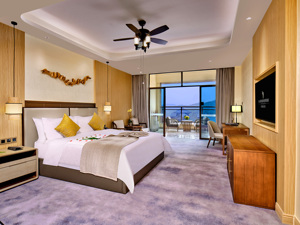 长天奉新九仙君澜温泉度假酒店豪华大床房/宜春酒店预订