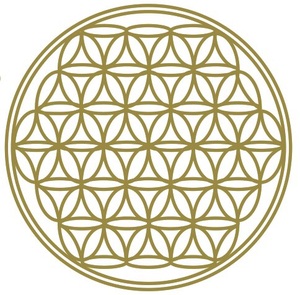 生命之花 金属标签能量图案符号 六芒星手机防辐射贴纸