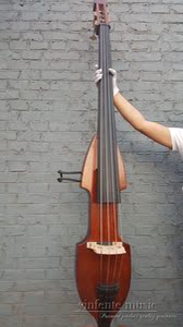 电子低音倍大提琴
