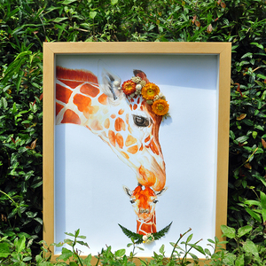 森间植物永生花干花植物标本画标本动物挂画房间装饰画