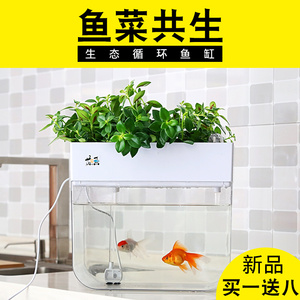 小鱼缸免换水生态金鱼缸客厅家用桌面小型鱼菜共生系统懒人水族箱