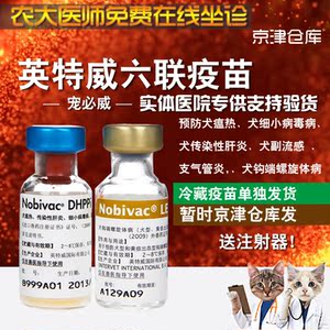 正品英特威犬用6联/六联疫苗 宠物狗狗疫苗小狗育苗钩端螺旋体苗