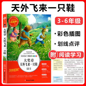大奖章 天外飞来一只鞋小学生课外阅读书籍三四五六年级课外书必读