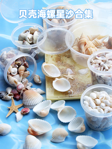 巧巧UV滴胶天然贝壳海星海螺工艺品贝壳海星海螺装饰品迷你海沙