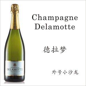德拉梦 champagne delamotte nv 德乐梦香槟 小沙龙 小汽水