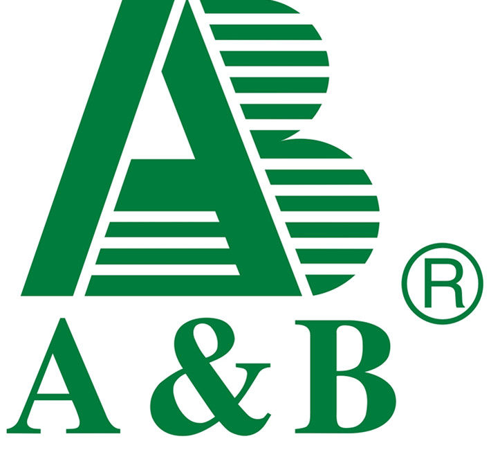 ab内衣专柜正品 竹纤维蕾丝花边 抗菌女士三角裤 女式内裤y204