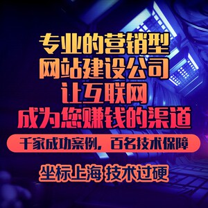 上海企业营销型网站建设互联网开发商城网站搭建源码设计网站制作