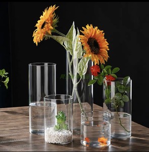 高硼硅玻璃苔藓生态瓶水培植物瓶室内桌面小花盆直筒艺术插花花瓶