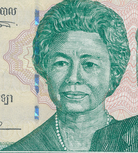 柬埔寨100000瑞尔-西哈努克亲王夫妇