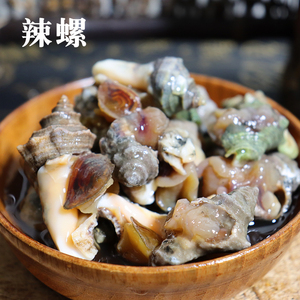 宁波特产野生辣螺带壳海螺开瓶即食舟山醉辣螺咸味下饭香辣螺800g