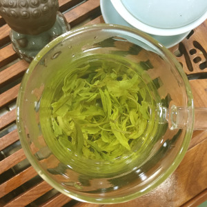 雨巷2020新茶绿茶浙江景宁白茶白玉仙茶金奖惠明茶浓香250克