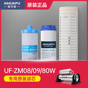 爱华普AHP-UF-ZM08 ZM09不锈钢超滤净水器滤芯子母机钻化炭原装