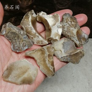 蛋白玉地表原石