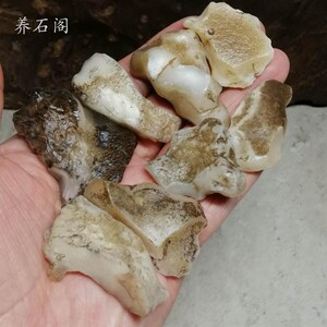 蛋白玉地表原石