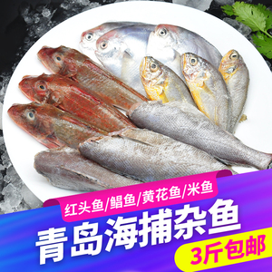 青岛海鲜海杂鱼新鲜冷冻鱼类深海鱼3斤装鲳鱼小黄鱼红娘鱼组合
