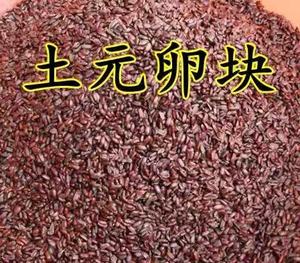 活体土元 土元卵  土鳖虫卵 新鲜卵块 土元幼苗1斤包邮 出卵多