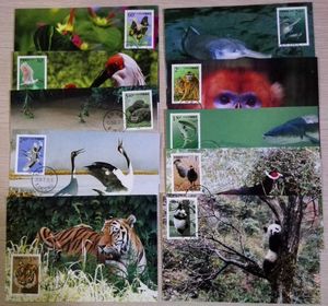 MC 野生动物一特种邮票原地极限明信片10枚 熊猫 朱鹮 丹顶鹤