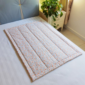 小垫子小褥子学生