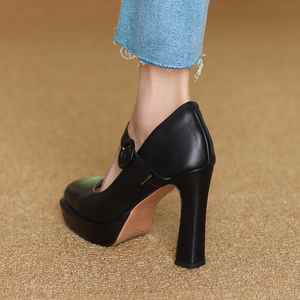 春秋欧美新款超高跟粗跟圆头浅口防水台黑色百搭女模特10cm高跟鞋