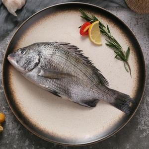 本港黑鲷鲜活冷冻海鲜水产黑立鱼海捕黑加吉新鲜鲷鱼3斤顺丰包邮