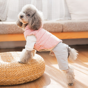 小鹿犬衣服四脚