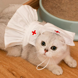 可爱俏皮小护士猫猫衣服搞怪帽子连衣裙网红猫变身装宠物拍摄服饰