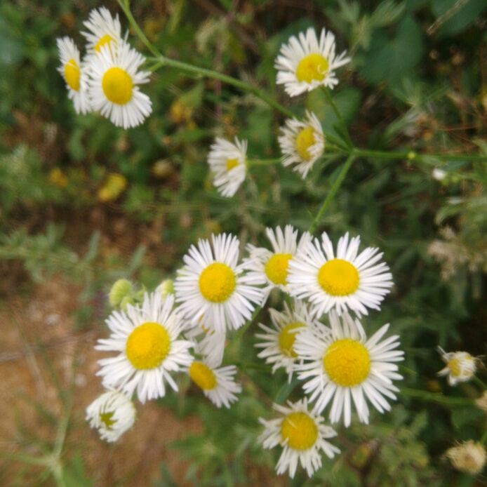 淘宝天猫店铺销量数据查询预估