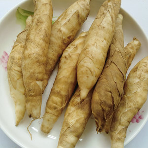 竹根薯农家-淘宝拼多多热销竹根薯农家货源拿货 - 阿里巴巴货源