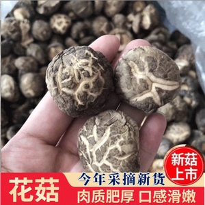 干货土特产椴木花菇白花菇食用香菇野生蘑菇500克建宁小花菇包邮