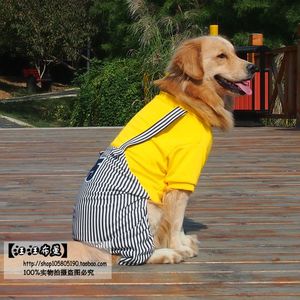 大狗春夏秋季衣服金毛萨摩耶边牧古牧中大型犬衣服狗背带四脚衣