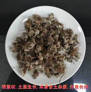 中药材 石胆草 500克 别名 生扯拢 岩指甲 镇心草.石莲花 石蝴蝶.