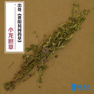 500克  药材 小龙胆草 全株(青鱼胆草 雪里梅 红花龙胆)产四川