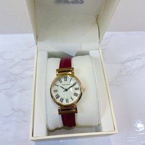 anne klein小红表女士欧美手表防水复古皮革石英ak-2246crrd时尚