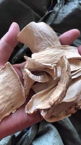 新货野生 广东狼毒 中药材 切片干品