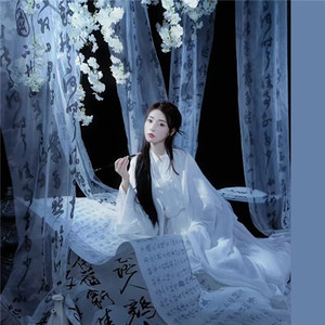 古风汉服书法字背景纱帘写真拍照道具创意影楼摄影中国风飘纱窗帘