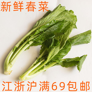 新鲜春菜500g 小芥菜 广东菜 微苦青菜蔬菜上海发货江浙沪隔天到