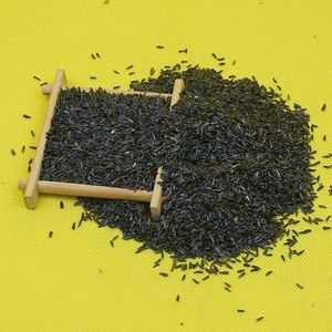 进口黑尖粟鸟食玉鸟料促进繁殖营养价值高一斤包邮比利时凡赛尔
