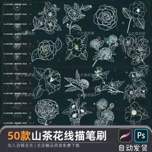 山茶花植物花卉线稿procreate笔刷ps画笔临摹花朵插画刺青花纹身