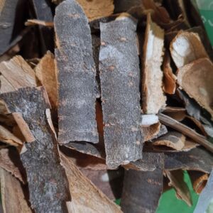 中药材  暴马子皮 丁香树皮 量大从优