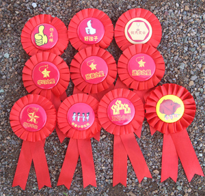 小红花胸花学生