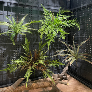 高仿真手感狼尾蕨绿色波斯蕨叶肾蕨软胶植物餐厅墙面花槽插花造景