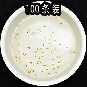 水族孔雀鱼活体鱼苗凤尾幼鱼草缸群游热带观赏淡水刚出生小型灯鱼