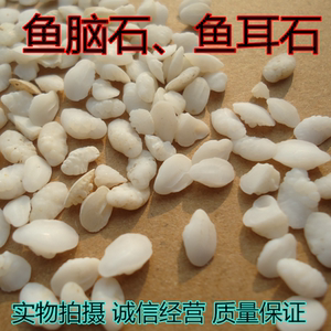 鱼脑石粉鱼耳石 鱼首石鱼枕骨煅鱼脑石500g/36.5元包邮