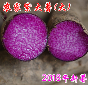 多省包邮2018新鲜紫薯紫大薯大薯紫薯紫薯紫淮山药5斤装(大的)