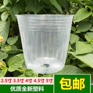 蝴蝶兰兰花植物栽培专用营养杯花盆石斛兰育苗透明塑料盆营养钵