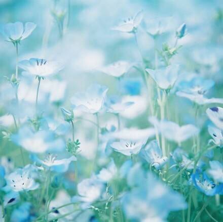 帅帅特价百货店