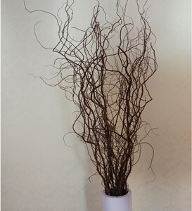 干花干枝/带皮龙柳/云龙柳/曲柳/龙桑三叉木落地客厅装饰