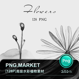 简欧气质高贵雅典黑白灰植物树叶纤维墨迹水彩粉手绘插画设计素材